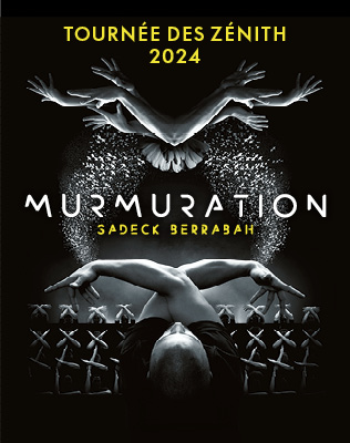 murmuration-affiche