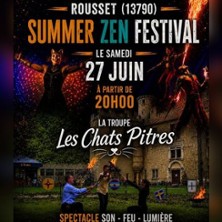 Show les Chats Pitres - feu son lumi&egrave;re