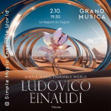 Ludovico Einaudi. Concert hommage