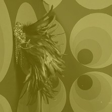 Cabaret des premi&egrave;res fois