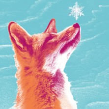 Les Animaux Magiques