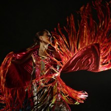 Marguerite : Le Feu