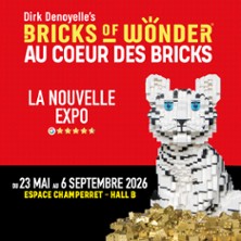 Bricks Of Wonder - Billet VIP Open - Au Coeur des Bricks