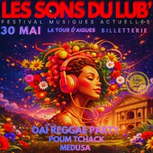 Festival les Sons du Lub'26