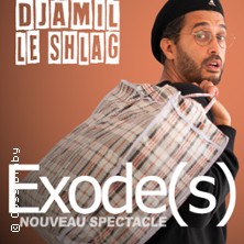 DJAMIL LE SHLAG