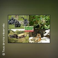 ESPACE ZOOLOGIQUE DE ST MARTIN ST MARTIN LA PLAINE