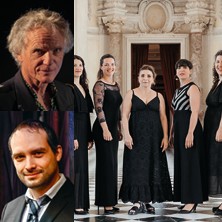 UNE FANTAISIE ALLEMANDE Emmanuel Bex / Sequenza 9.3