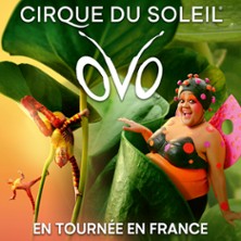 Cirque du Soleil - Ovo - Tournée