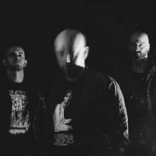 Ulcerate