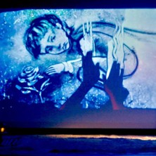 LE PETIT PRINCE