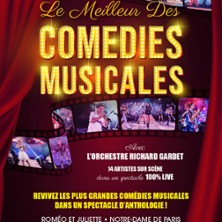 Le Meilleur des Comédies Musicales