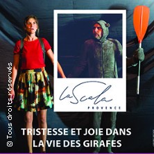 Tristesse et joie dans la vie des girafes