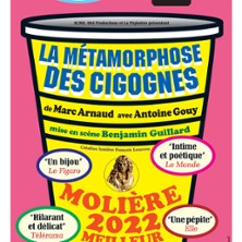 La Métamorphose des Cigognes