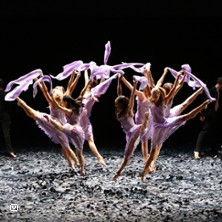 Malandain Ballet Biarritz