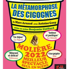 La Métamorphose des Cigognes