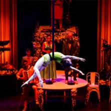 CIRQUE ALFONSE La Noce d'Alfonse