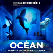 Bassins des Lumières - Expostions Océan + Cube avec Greenpeace