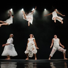 Orphées