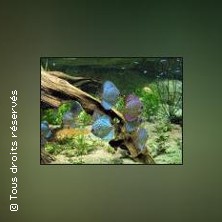 AQUARIUM TROPICAL PARIS 12