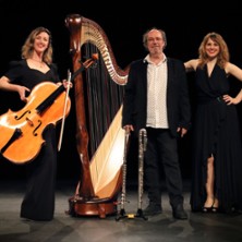 Les Spots - Trio Canopée