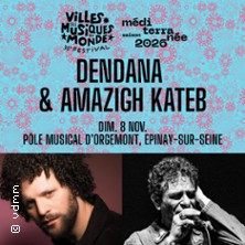 Festival Villes des Musiques du Monde