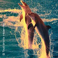 MARINELAND ANTIBES
