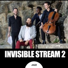 Invisible Stream II