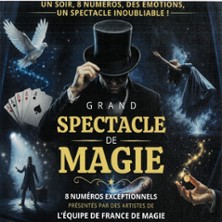 Grand Spectacle de Magie - Théâtre Bonlieu - Annecy