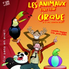 Les Animaux Font Leur Cirque