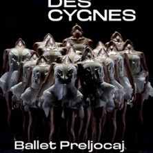 LE LAC DES CYGNES Ballet Preljocaj