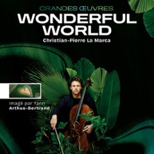 WONDERFUL WORLD