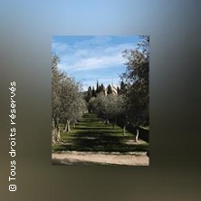 JARDIN ET ARENES DE CIMIEZ NICE