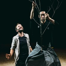 L'Expèrience de l'Arbre