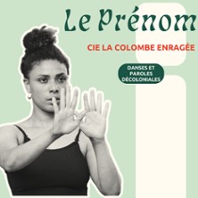 Cie La Colombe Enragée