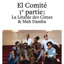 El Comité