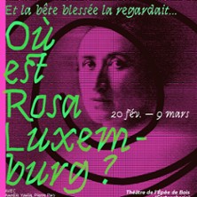 Et la Bête Blessait la Regardait ... Ou est Rosa Luxembourg