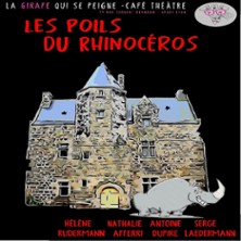 Les Poils du Rhinocéros
