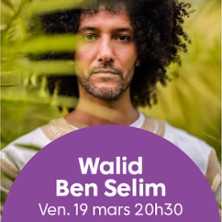 Walid Ben Selim