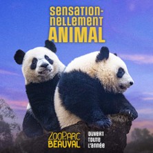 ZooParc de Beauval - Billet 1 Jour
