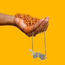 Beans
