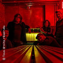 The Magnetic Fields
