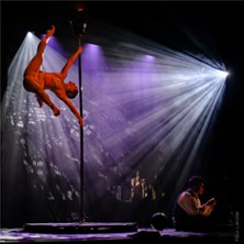Compagnie Haspop - Curiosité - Cirque du Gand Lyon