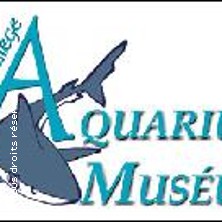 PARKING CARS - GARE DES GUILLEMINS LIEGE