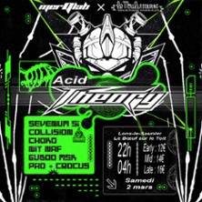 Acid Theory