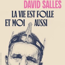 David Salles - La Vie est Folle et Moi Aussi