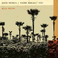 David Patrois