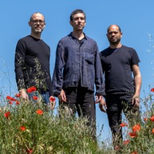 Donarier / Codjia / Quitske