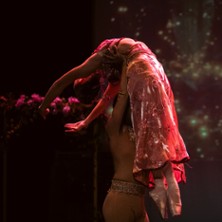 NATRAAJ GALA DES ARTISTES