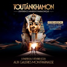 Exposition Tout&acirc;nkhamon, l'Exp&eacute;rience Immersive Pharaonique