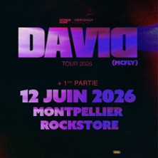 David + Premi&egrave;re Partie